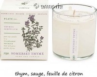 Bougie parfumée Somerset Thyme - Plant The Box