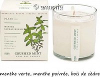 Bougie parfumée Crushed Mint - Plant The Box