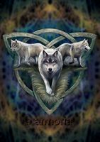 Carte Postale Wolf Trio de Anne Stokes