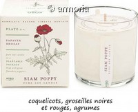 Bougie parfumée Siam Poppy - Plant The Box