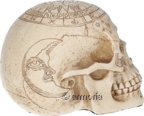 Figurine Crâne Tête de Mort Signes du Zodiaque 