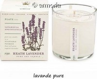 Bougie parfumée Heath Lavender - Plant The Box