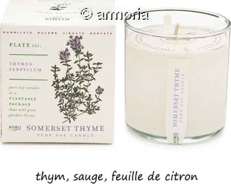 Bougie parfumée Somerset Thyme - Plant The Box