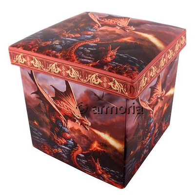 Boite de rangement Fire Dragon