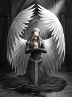 Carte Postale Prayer for the Fallen de Anne Stokes