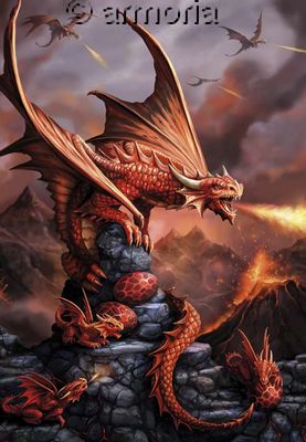 Carte Postale Fire Dragon de Anne Stokes