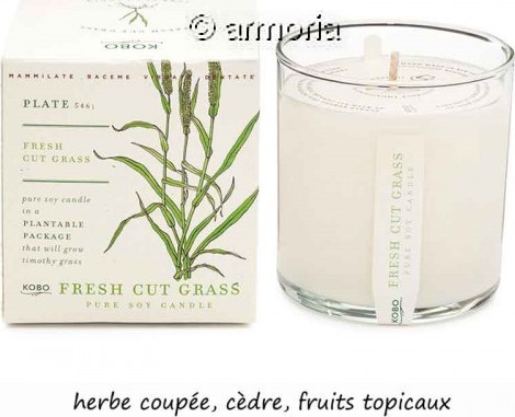 Bougie parfumée Fresh Cut Grass - Plant The Box