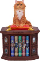 Boite Chat roux assis sur bibliothèque "Mad about Cats" de Lisa Parker