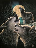 Carte postale Wolf Song de Lisa Parker