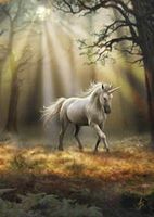 Carte Postale Glimpse of a Unicorn de Anne Stokes