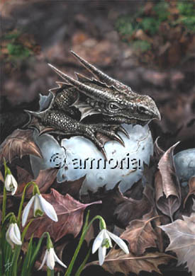 Carte Postale Hatchling de Anne Stokes