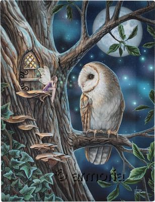 Reproduction sur toile Fairy Tales de Lisa Parker