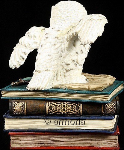 Boite et Figurine Chouette Blanche sur Livres Marque Veronese