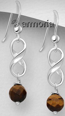 Boucles d'oreilles Lemniscate en argent et oeil de tigre