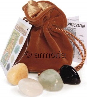 Pochette Capricorne 4 pierres roulées