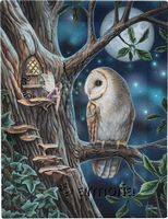 Reproduction sur toile Fairy Tales de Lisa Parker