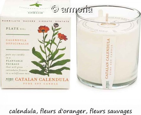 Bougie parfumée Catalan Calendula - Plant The Box