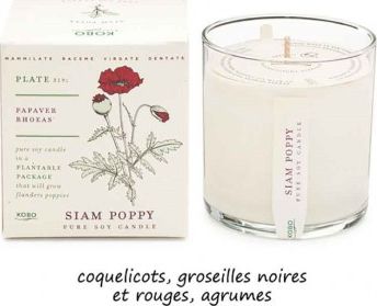 Bougie parfumée Siam Poppy - Plant The Box