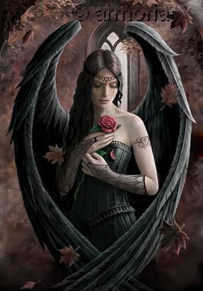 Carte Postale Angel Rose de Anne Stokes