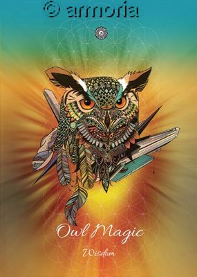 Carte Postale Owl Magic - Wisdom de Karin Roberts