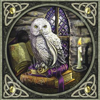 Carte postale Spell Owl de Lisa Parker