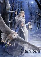 Carte Postale Midnight Messenger de Anne Stokes