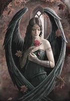 Carte Postale Angel Rose de Anne Stokes