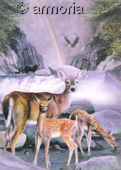Carte postale Over the Rainbow de Kevin Daniel
