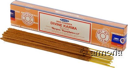 Encens Divine Karma de Satya