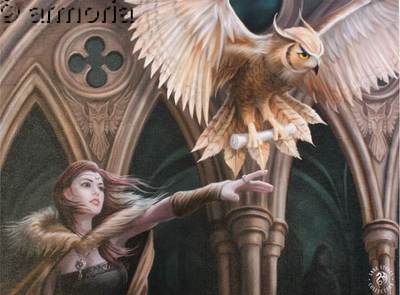 Reproduction sur toile Owl Messenger de Anne Stokes