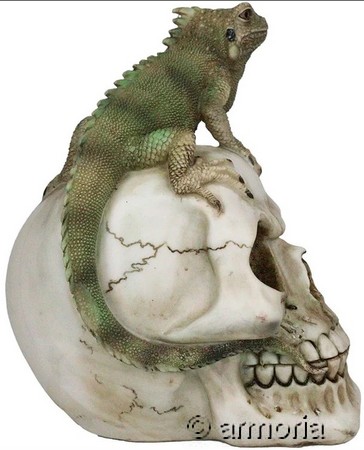 Crâne avec Caméléon