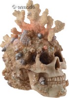 Figurine Crâne Tête de mort Corail 